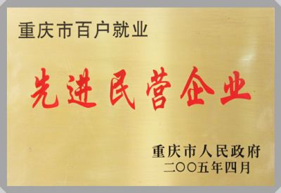 集團(tuán)榮譽(yù)